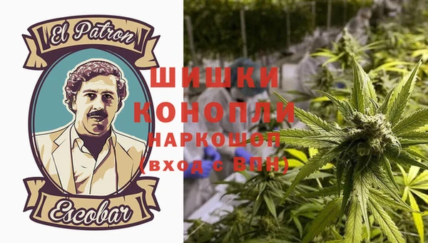 ПСИЛОЦИБИНОВЫЕ ГРИБЫ Арсеньев