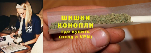 ПСИЛОЦИБИНОВЫЕ ГРИБЫ Арсеньев