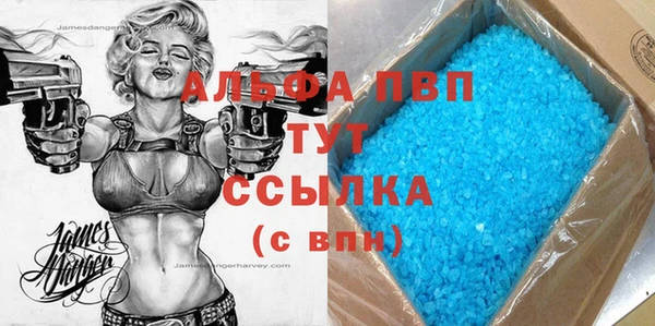 индика Богданович