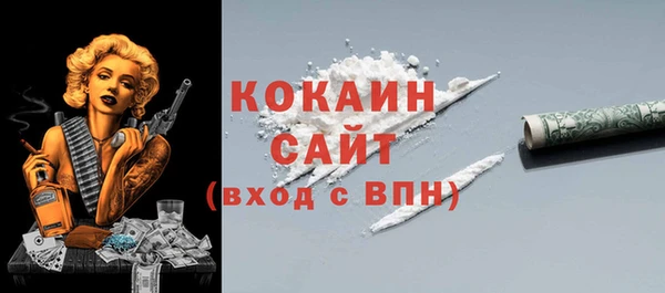 индика Богданович
