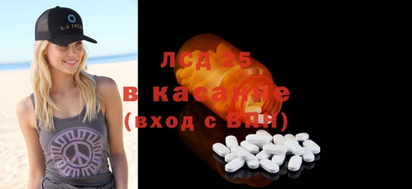 индика Богданович