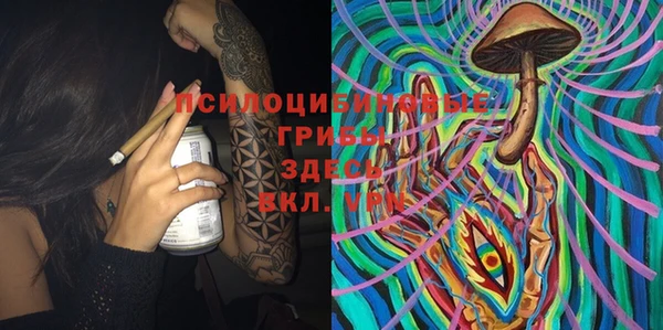 ПСИЛОЦИБИНОВЫЕ ГРИБЫ Арсеньев