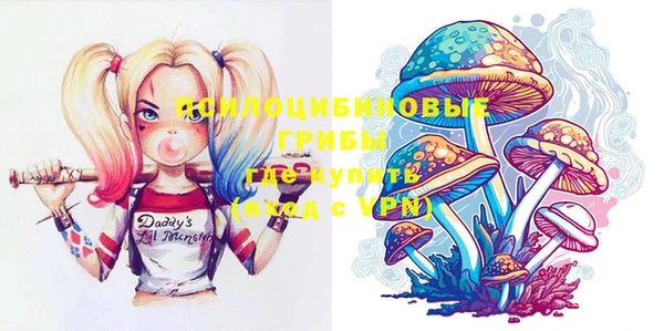 шишки Богородицк