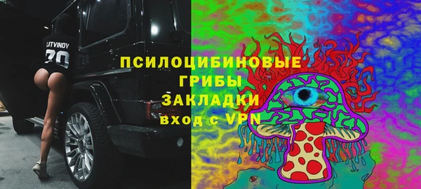 шишки Богородицк