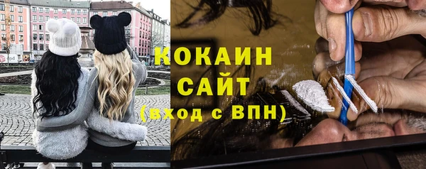 индика Богданович
