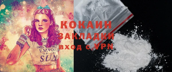 индика Богданович