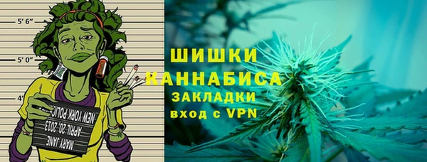 индика Богданович