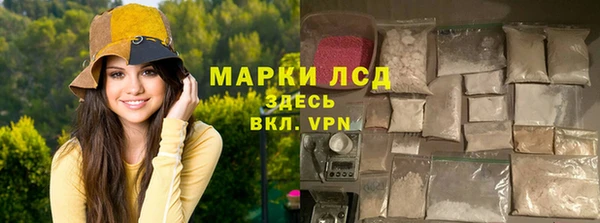 ПСИЛОЦИБИНОВЫЕ ГРИБЫ Арсеньев