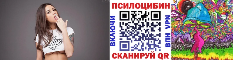 Галлюциногенные грибы Psilocybe  Кубинка 