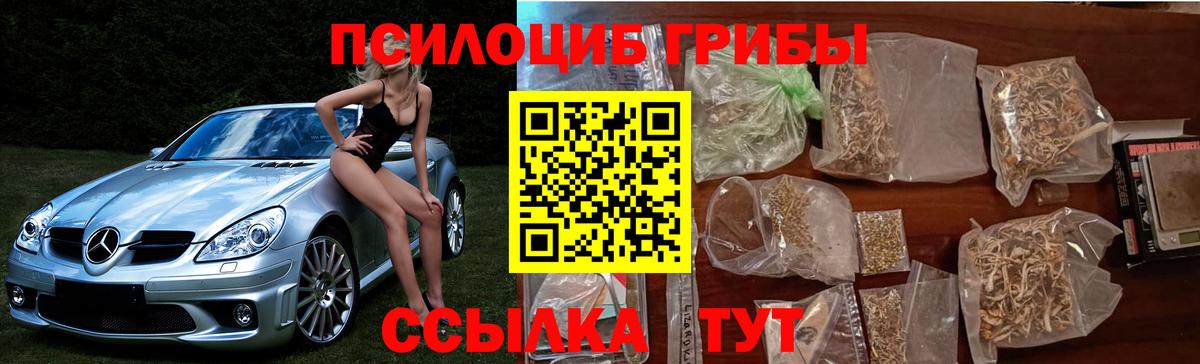 Галлюциногенные грибы прущие грибы  Вход с VPN  Кубинка 