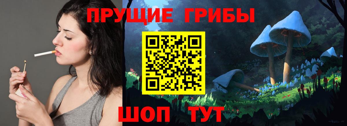 Галлюциногенные грибы Psilocybine cubensis Кубинка